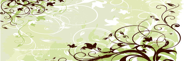 Orn 48 %28700x1500%29